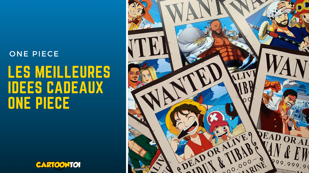 les meilleures idees cadeaux one piece